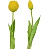 Saska Garden Geltonų tulpių puokštė 39 cm