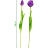 Saska Garden 50 cm violetiniai bijūniniai tulpės