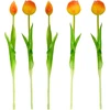 Saska Garden Oranžinių bijūninių tulpių puokštė 39 cm