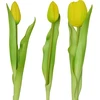 Saska Garden Geltonų tulpių puokštė 31 cm dekoracija