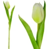 Saska Garden baltas tulpės dekoracija 31 cm