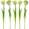Saska Garden baltas tulpės dekoracija 38 cm