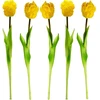 Saska Garden Geltona tulpė 38 cm kaip natūrali