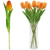 Saska Garden Oranžinis tulpės dekoratyvinis 31 cm