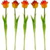 Saska Garden Oranžinis tulpės dekoracija 38 cm