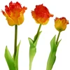 Saska Garden Oranžinis tulpės dekoracija 38 cm