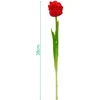 Saska Garden raudonas tulpė 38 cm dekoracija