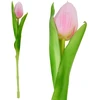 Saska Garden Dirbtinis rožinis tulpė 31 cm