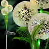 Saska Garden Saulės lempa su paprastosios kiaulpienės dizainu