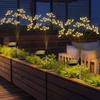 Saska Garden Saulės šviestuvas „Pūkas“