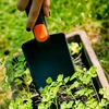 Saska Garden Siaura sodo kastuvėlė
