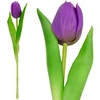 Saska Garden Violetinis tulpė 31 cm pavasario dekoracija