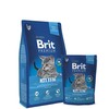Sausas ėdalas katėms Brit Premium Cat Kitten, 300g
