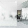 Savaime prisiklijuojanti langų plėvelė Frosted Balta PVC