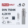 Grąžtas Savisriegiai Haushalt, DIN 7504K, 4,2 x 19 mm, 30 vnt.