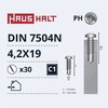 Savisriegiai Haushalt, DIN 7504N, 4.2 x 19 mm, 30 vnt.