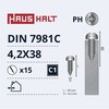 Savisriegiai Haushalt, DIN 7981C, 4.2 x 38 mm, 15 vnt.