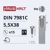 Savisriegiai Haushalt, DIN 7981C, 5.5 x 38 mm, 15 vnt.