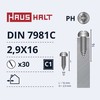 Savisriegiai Haushalt, DIN7981C, 2.9 x 16 mm, 30 vnt.