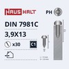 Savisriegiai Haushalt, DIN7981C, 3,9 x 13 mm, 30 vnt.