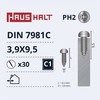 Savisriegiai Haushalt, DIN7981C, 3,9 x 9,5 mm, 30 vnt.