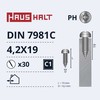 Savisriegiai Haushalt, DIN7981C, 4,2 x 19 mm, 30 vnt.