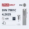 Savisriegiai Haushalt, DIN7981C, 4,2 x 25 mm, 25 vnt.