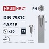 Savisriegiai Haushalt, DIN7981C, 4,8 x 19 mm, 30 vnt.