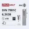 Savisriegiai Haushalt, DIN7981C, 6.3 x 38 mm, 10 vnt.