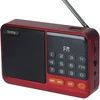 „Setty“ mini FM radijas + „Bluetooth“ garsiakalbis SFM-01M