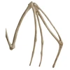 Šikšnosparnio skeletas - dekoracija 30 cm Malatec 22005