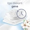 Skalbinių minkštiklis Lenor cotton fresh, skystas, 1.2 l