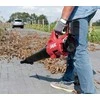 Skil_Red Akumuliatorinis lapų pūstuvas Skil GB1E0331CA