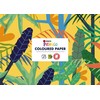 Spalvotas dvipusis popierius DISCO Picasso A4, 8 lapai, 120 g, su edukacine informacija