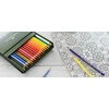 „Faber-Castell“ – spalvoti „Polychromos“ pieštukai – studijos dėžutė po 36 (110038)