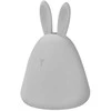 Osram Stalinis šviestuvas Ledvance NIGHTLUX RABBIT 4058075602113
