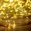 TelForceone String Light GOLDEN TWIG CLF-03 480LED šiltai balta 3m + 5m Forever Light