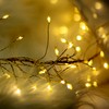 TelForceone String Light GOLDEN TWIG CLF-03 480LED šiltai balta 3m + 5m Forever Light