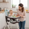 Sulankstoma maitinimo kėdutė vaikams su žaislais, ECOTOYS