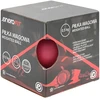Enero Sviedržiedis su 0,5kg svoriu