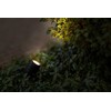Lubinis šviestuvas Šviestuvas Ludeco STIG PL3023, 1.5W, LED, IP44, juodas