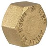 Tdm_Brass Aklė TMD brass, 1″