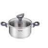 TEFAL Daily Cook puodas su dangčiu 24 cm [G7124645]