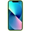 Tel Protect Leather Luxury Stand dėklas skirtas Apple iPhone 11 Pro mėtų spalvos