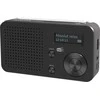 Telestar TOP100 portable DAB+/FM radio, Bluetooth, batteri 1050 mAh, Juodas