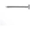 Tolinės vinys HAUSHALT, 32×2,5 mm, 300g