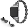 Išmaniojo laikrodžio apyrankė Oem, skirta Apple Watch (42/44/45 mm), Grafito spalvos