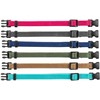 Trixie Junior Antkaklių kompl., M–L 22–35 cm/10 mm, 6 vnt. fuksija, grafito, ind (pak.4)