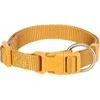 Trixie Premium antkaklis, XXS-XS: 15-25 cm/10 mm, kario