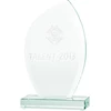 Tryumf 3D graviruotas stiklinis trofėjus su dėžute G010/3D